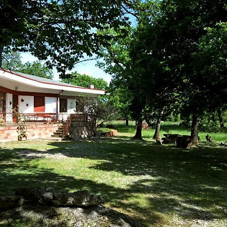 Villa Ograda Trieste - Farm Stay Exterior photo